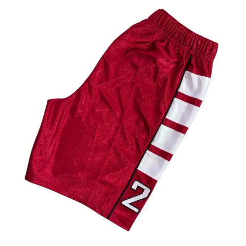 Bermuda Jordan basquet