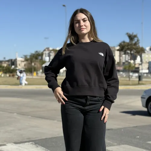 Buzo The North Face Classic