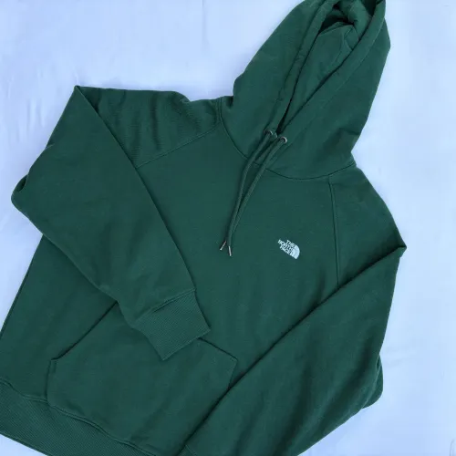 Buzo The North Face Evolution Hoodie